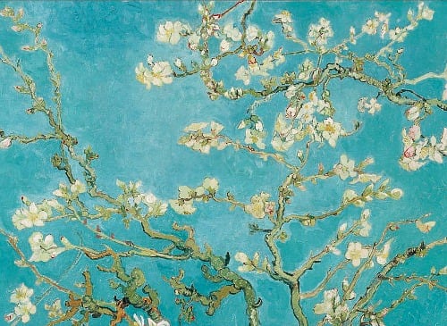 Van Gogh's Almond Blossoms 