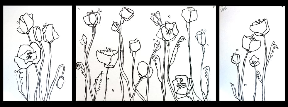 Poppy Sketches ©Kellie Day