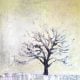 Winter Tree 1, ©Kellie Day, 36" x 36", mixed media on canvas