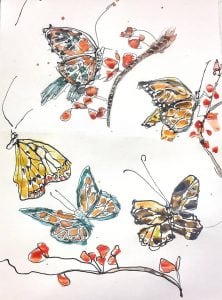 Butterfly sketches at a ski area in Colorado. Where there are no butterflies in February ©Kellie Day