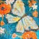 Butterfly Transformation, 12" x 12", mixed media butterfly painting on canvas, ©Kellie DAy