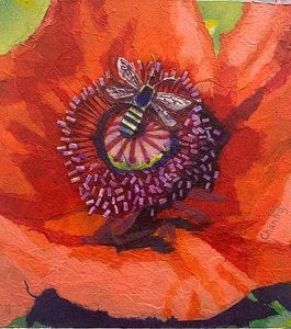 Carla-Chantry-poppy