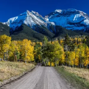 2025 Colorado Mountain Art Retreat - Image 4